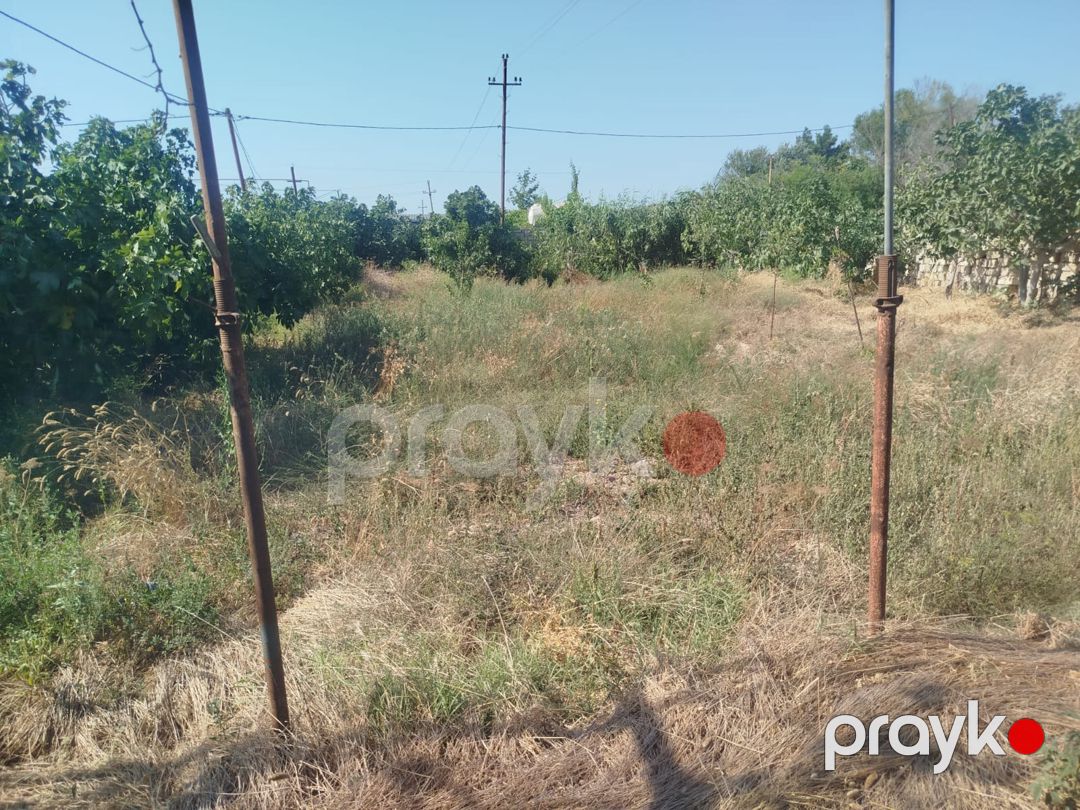 7 sot torpaq sahəsi, Məştağa qəs — Torpaq, Bakı (9)