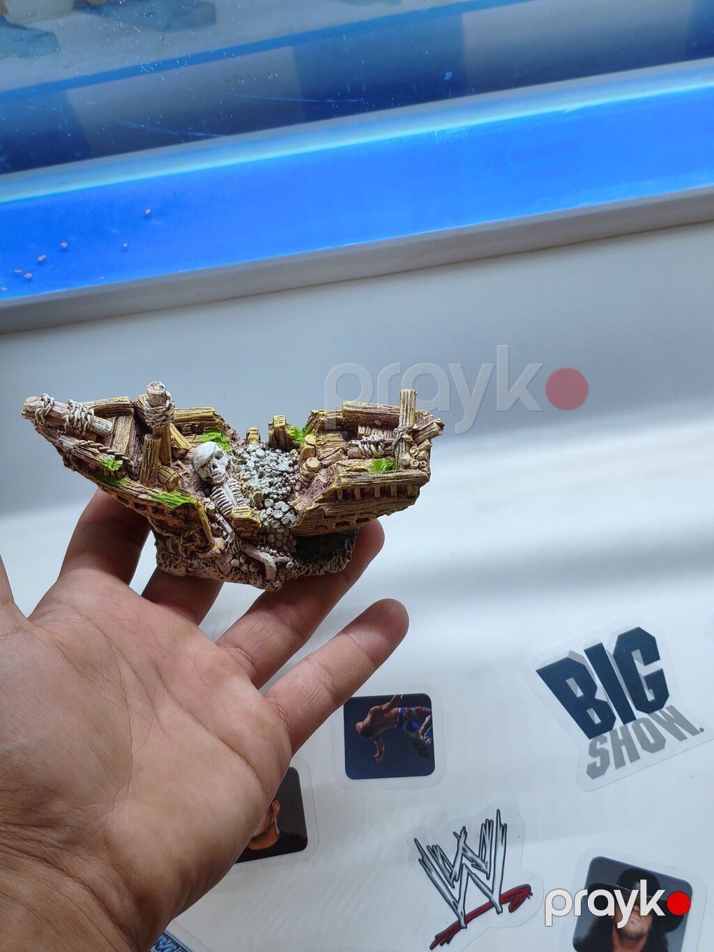 Dördbucaq akvarium, Balıqlarla birlikdə, 15 l, Ünvandan götürmə — Akvariumlar və balıqlar, Digah (6)