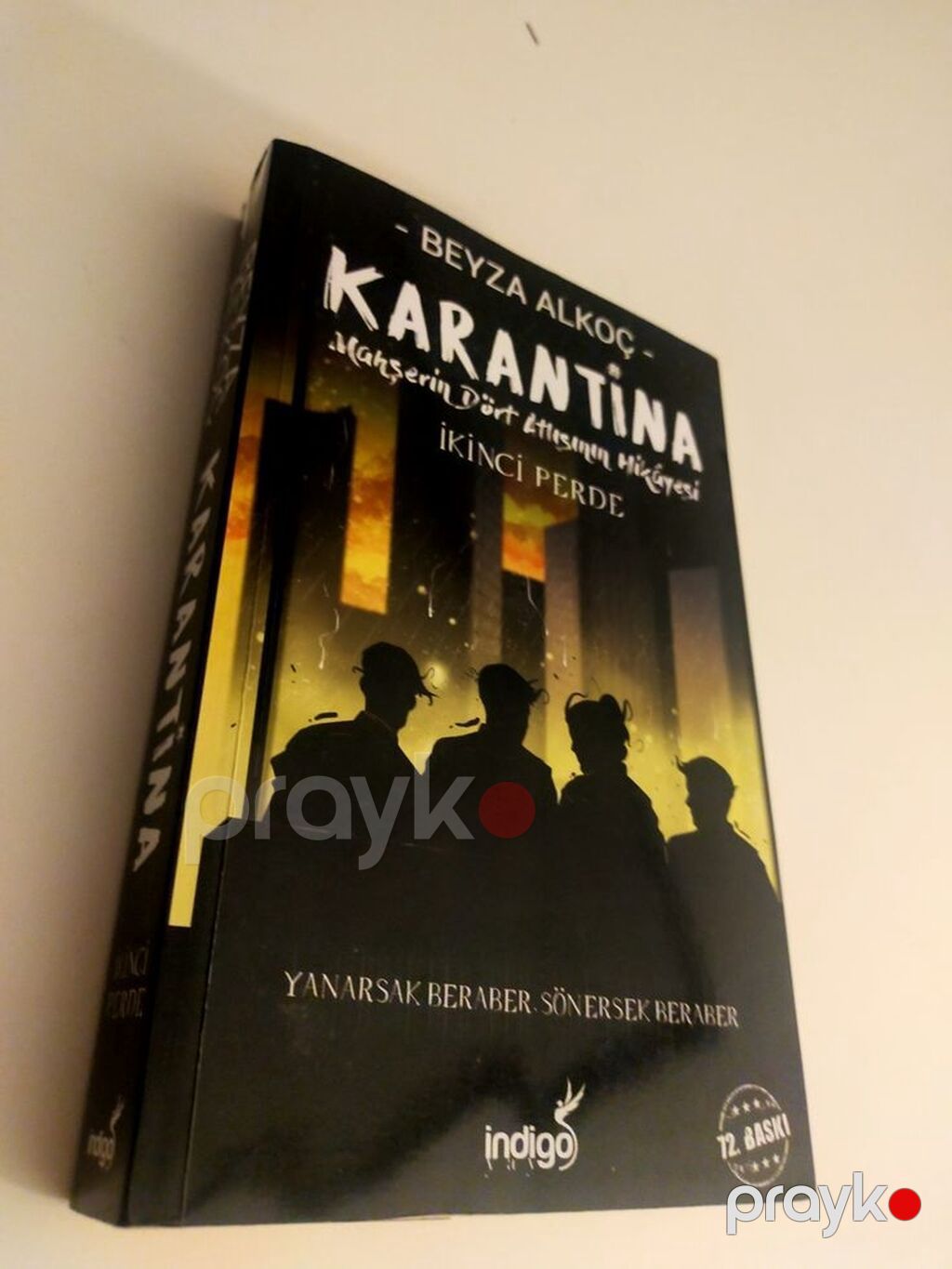 Məhsul: Beyza Alkoç – “Karantina: Məhşərin Dörd Atlısının Hekayəsi” — Kitablar, Gəncə (2)
