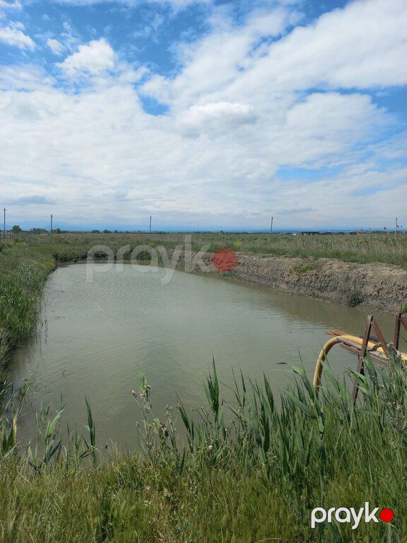 10000 sot torpaq sahəsi, Xaçmaz r — Torpaq, Xaçmaz (8)