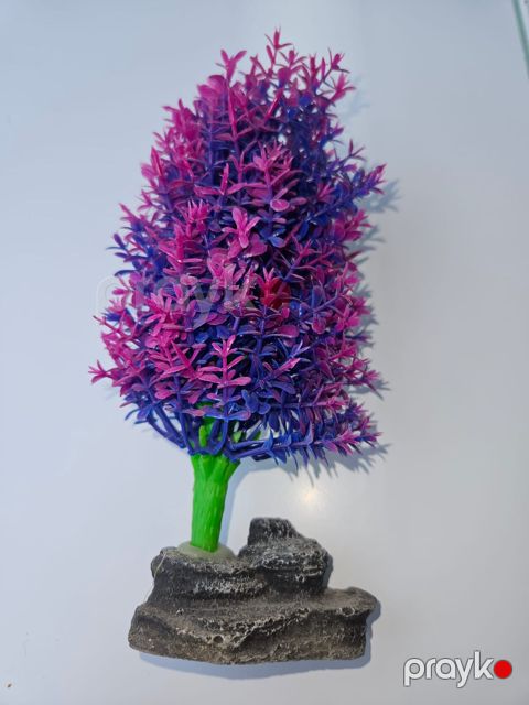 Akvarium dekoru, plastik, rəngbərəng — Bakı