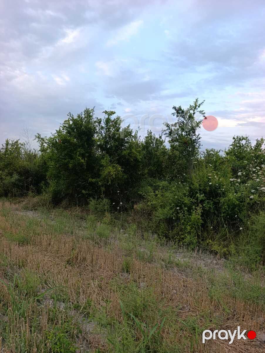 Satılır torpaq 3500 sot — Torpaq, Göyçay (3)