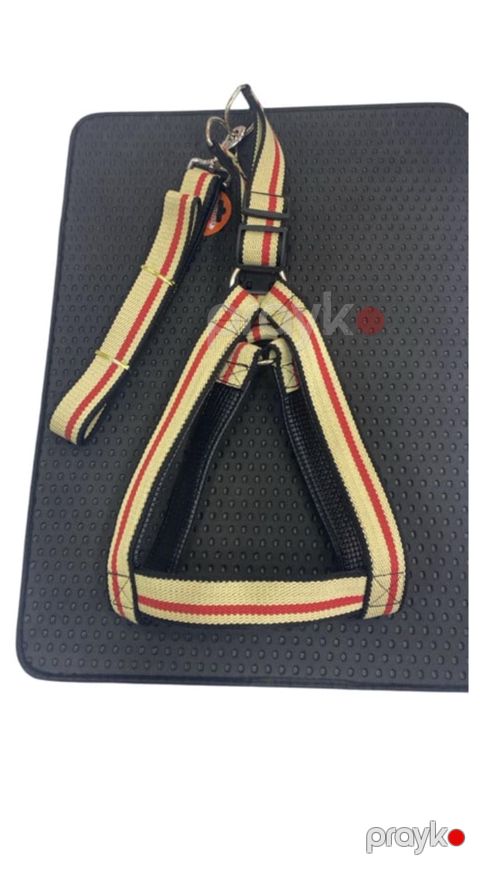 Qayış itlər üçün 31992402, parça, ölçü XL — Bakı