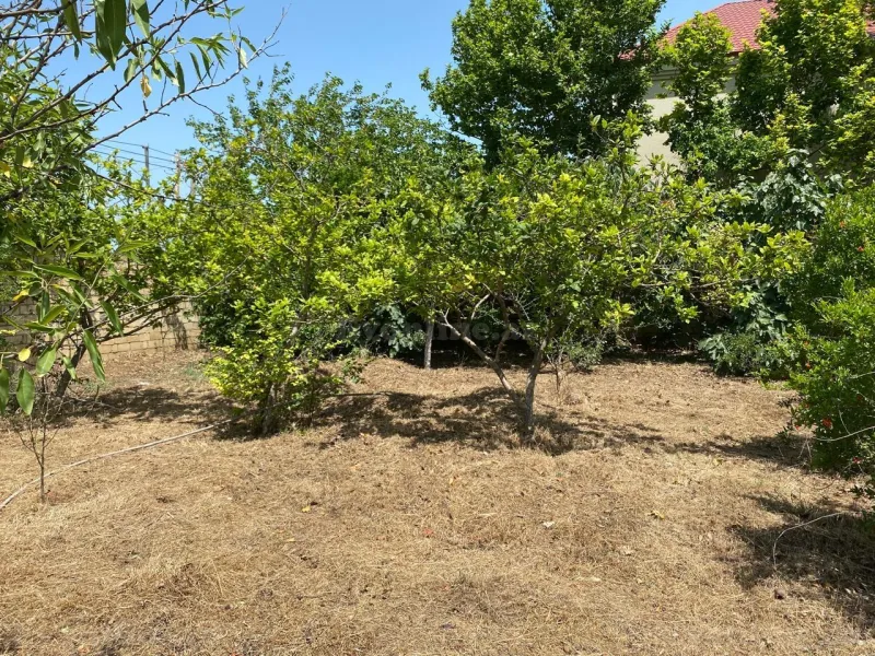 Satılır Torpaq 12 sot Bakı, Abşeron r., Novxanı — Torpaq, Bakı (2)