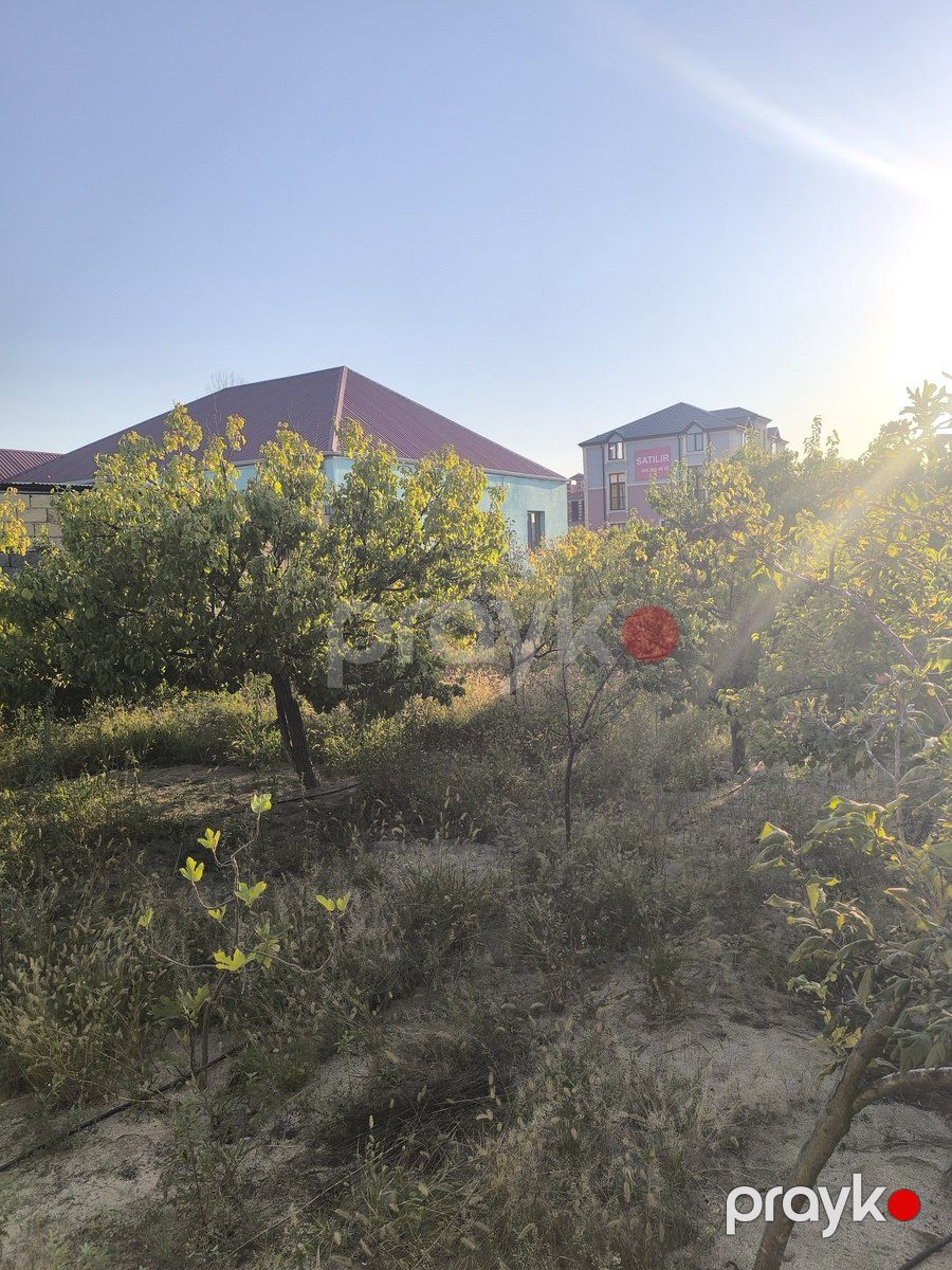 Satılır torpaq 2 sot — Torpaq, Bakı (3)