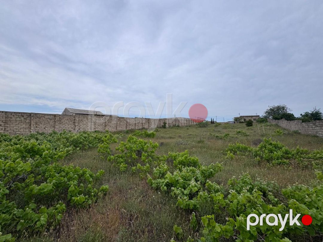 Satılır torpaq 24 sot — Torpaq, Bakı (6)