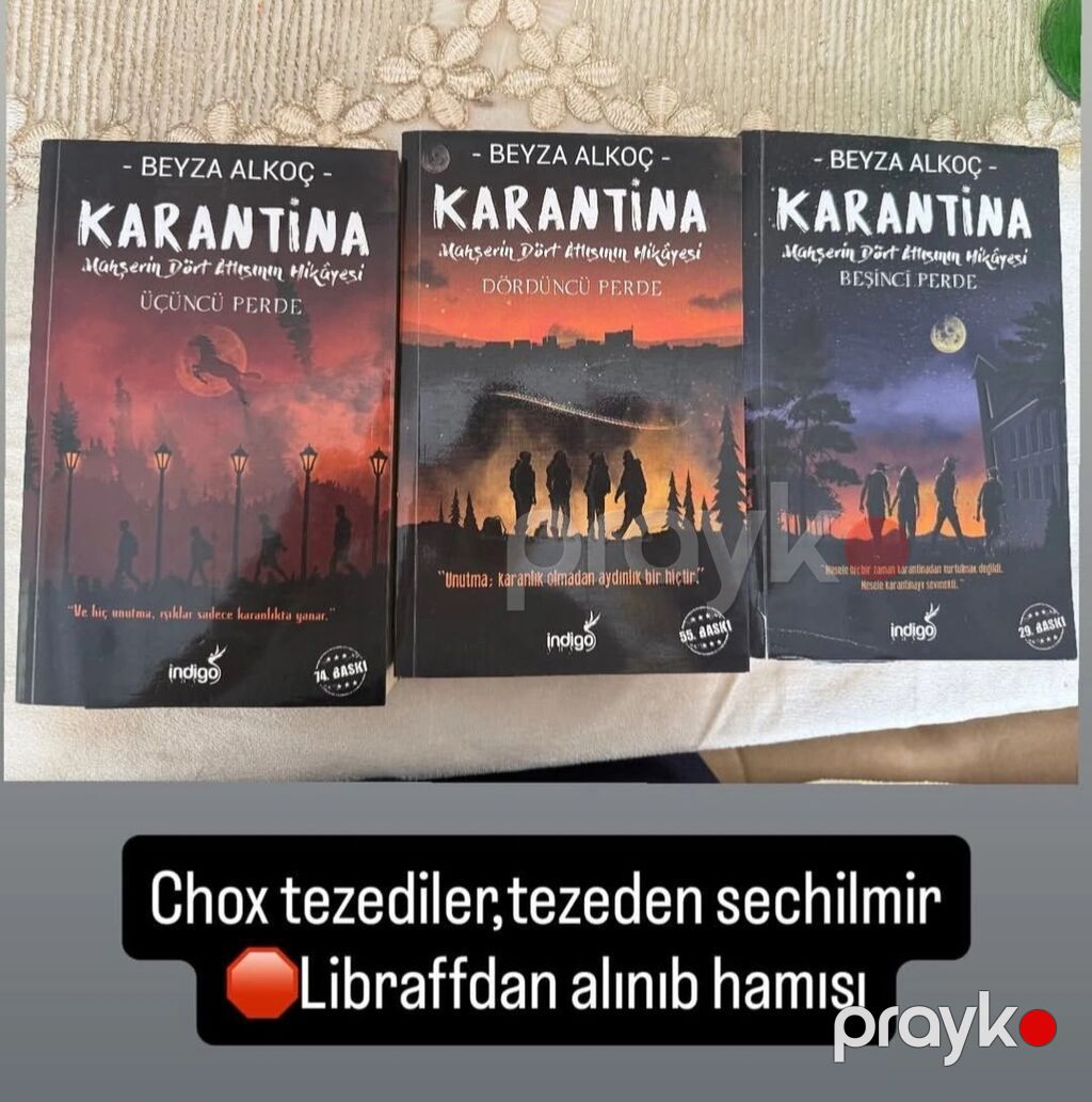 Məhsul: Beyza Alkoç – “Karantina: Məhşərin Dörd Atlısının Hekayəsi” — Kitablar, Gəncə (3)