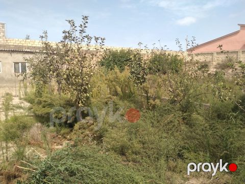 4 sot torpaq sahəsi, Pirşağı qəs — Bakı