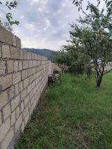 8 sot torpaq sahəsi, Qəbələ r — Şirvan