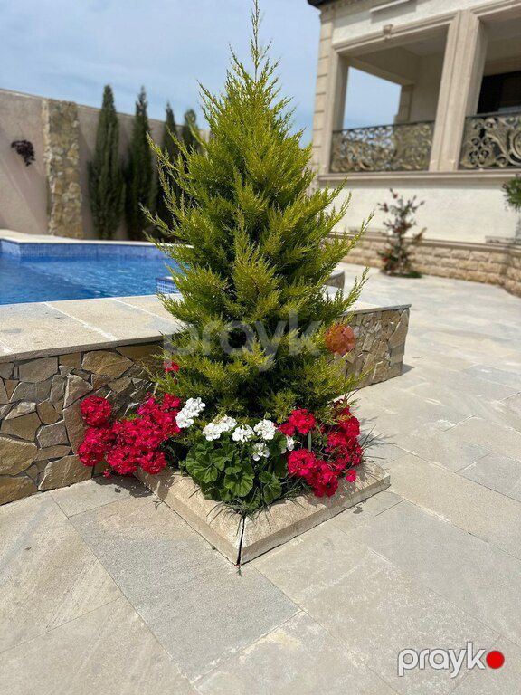 Bağ evi kirayə verilir, Şüvəlan qəs — Ev, villa, Bakı (5)