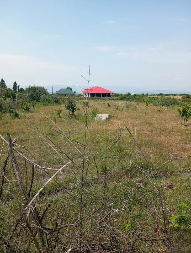 Satılır Torpaq 18 sot Şəki — Torpaq, Şəki (2)