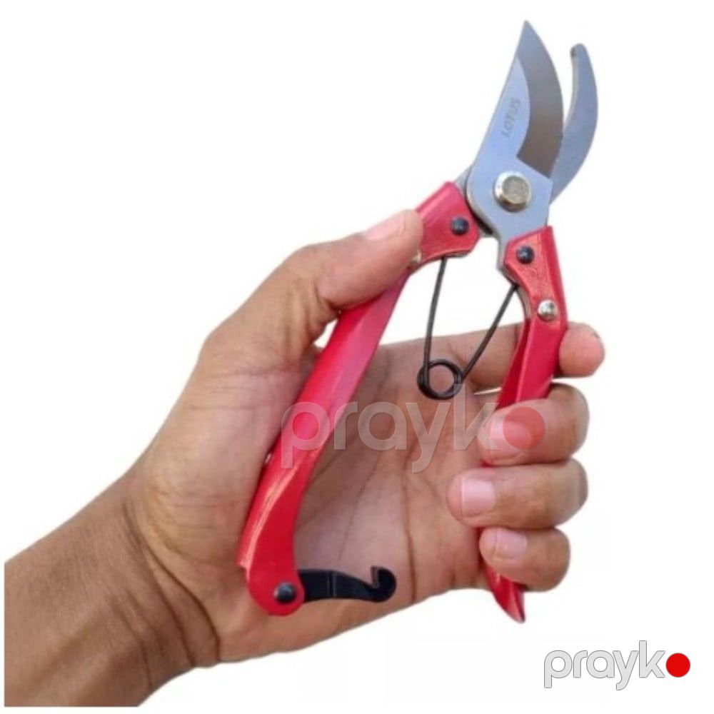 Bağban qayçısı Fertak 8 düym, karbon polad, yaylı, plastik tutacaqlı - prm_040 — Mallar, Bakı (3)