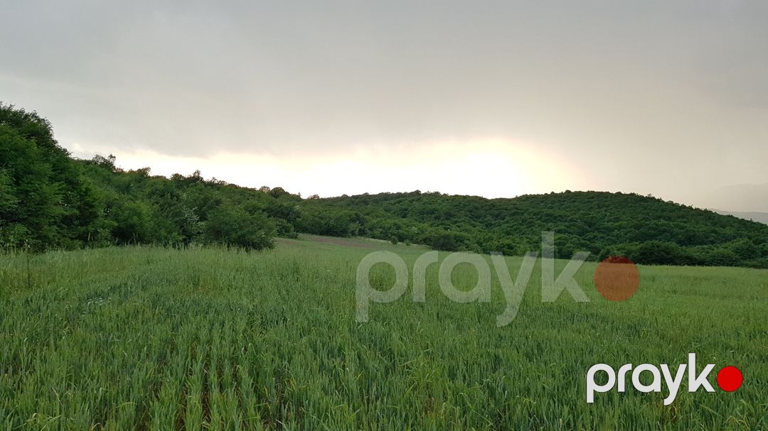 277 sot torpaq sahəsi, İsmayıllı r — Torpaq, İsmayıllı (4)