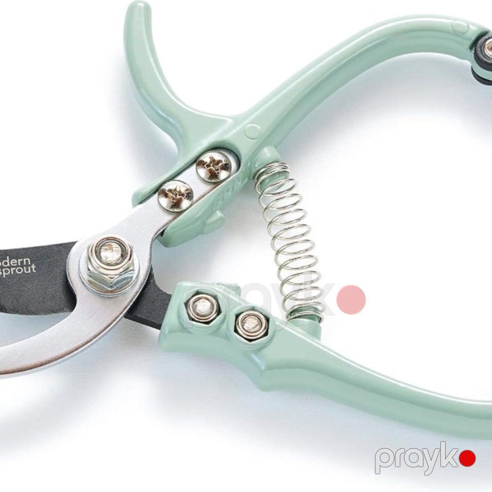 Bağban qayçısı DNO Rose Pruner Bypass Tipi, 8 mm, 3Cr13 polad - prm_035 — Mallar, Bakı (2)