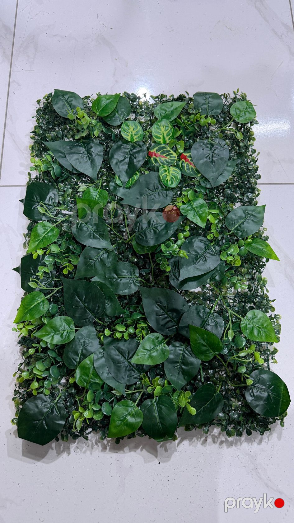 Süni yaşıllıq divar paneli 49720560, plastik, 40x60 sm — Mallar, Bakı (2)