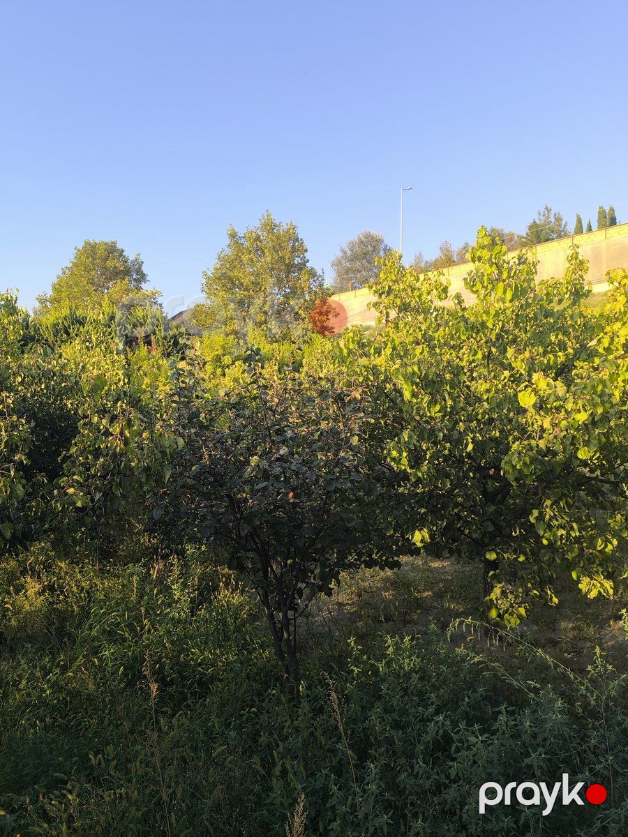 Satılır torpaq 2 sot — Torpaq, Bakı (5)