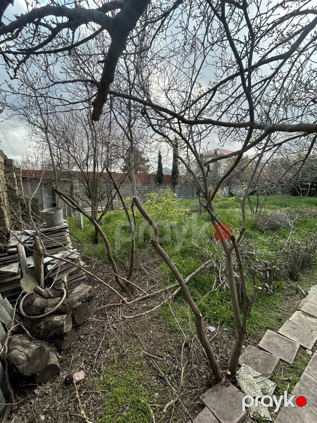 Satılır torpaq 5 sot — Torpaq, Bakı (5)