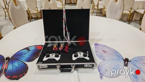 Ldarc RC kəpənək dron dəsti - Biomimetik uçuş sistemi: Kəpənək — Bakı
