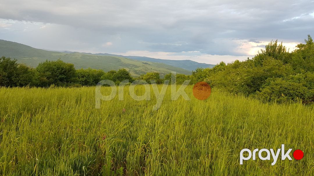 277 sot torpaq sahəsi, İsmayıllı r — Torpaq, İsmayıllı (3)