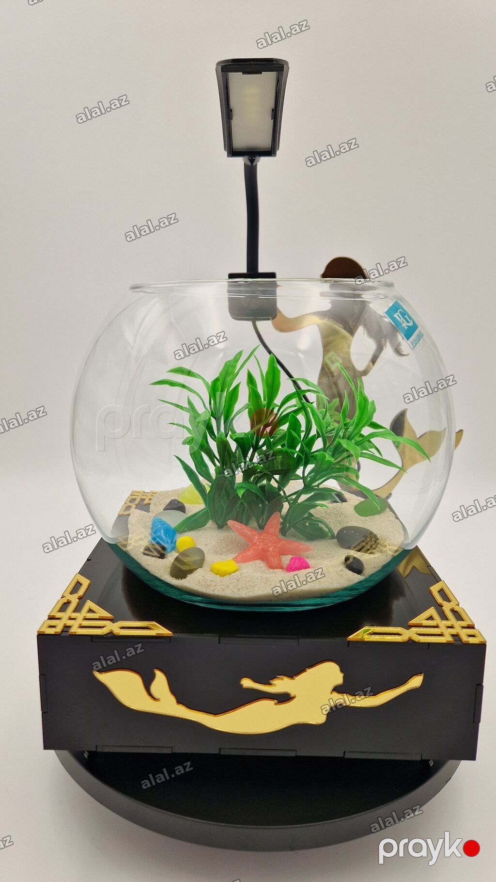 Yumru akvarium, Balıqlarla birlikdə, 3 l, Pulsuz çatdırılma — Heyvanlar, Bakı (3)