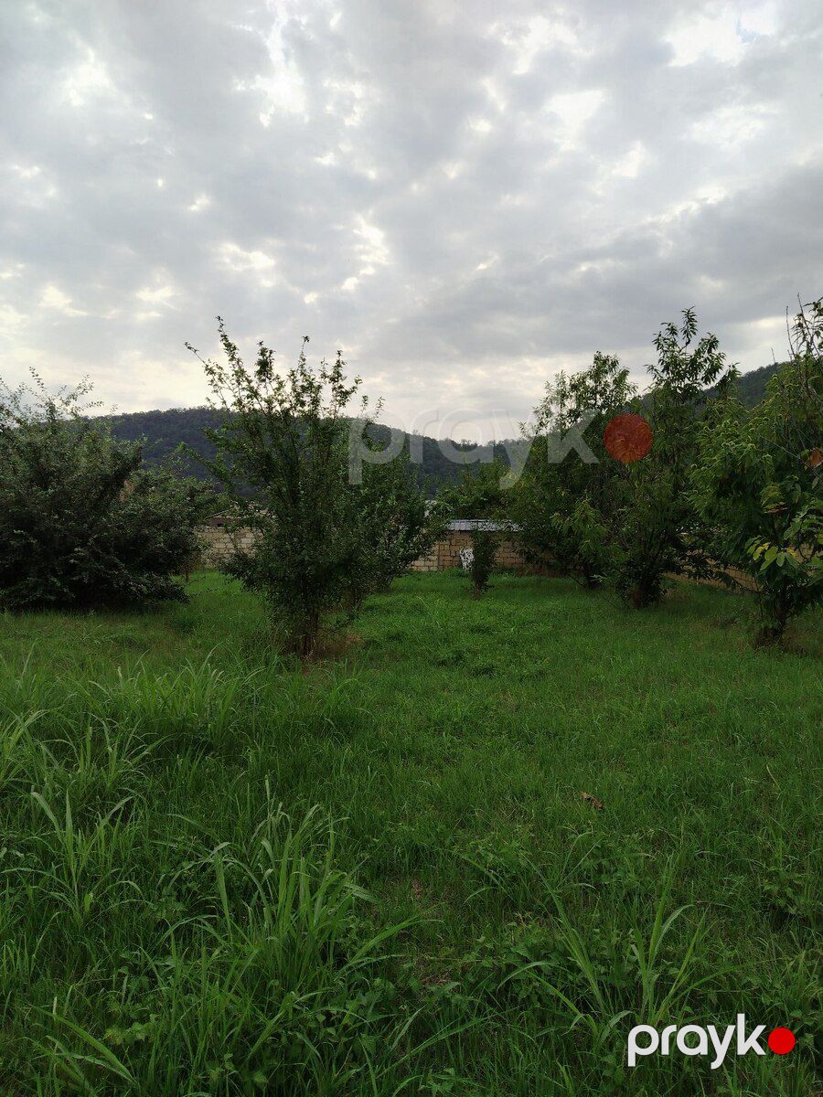 8 sot torpaq sahəsi, Qəbələ r — Torpaq, Qəbələ (4)