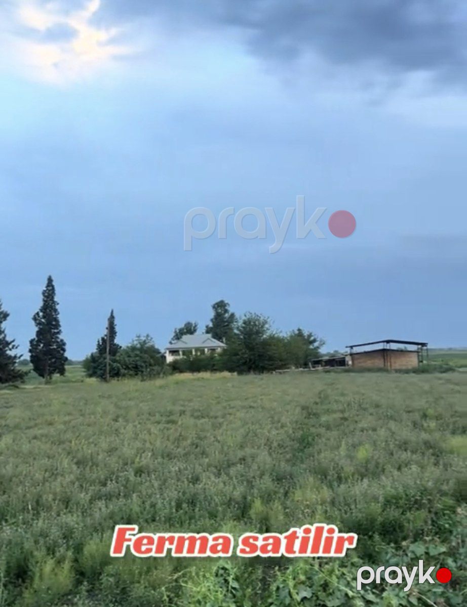 Satılır obyekt 1400 m² — Əmlak, Beyləqan (4)