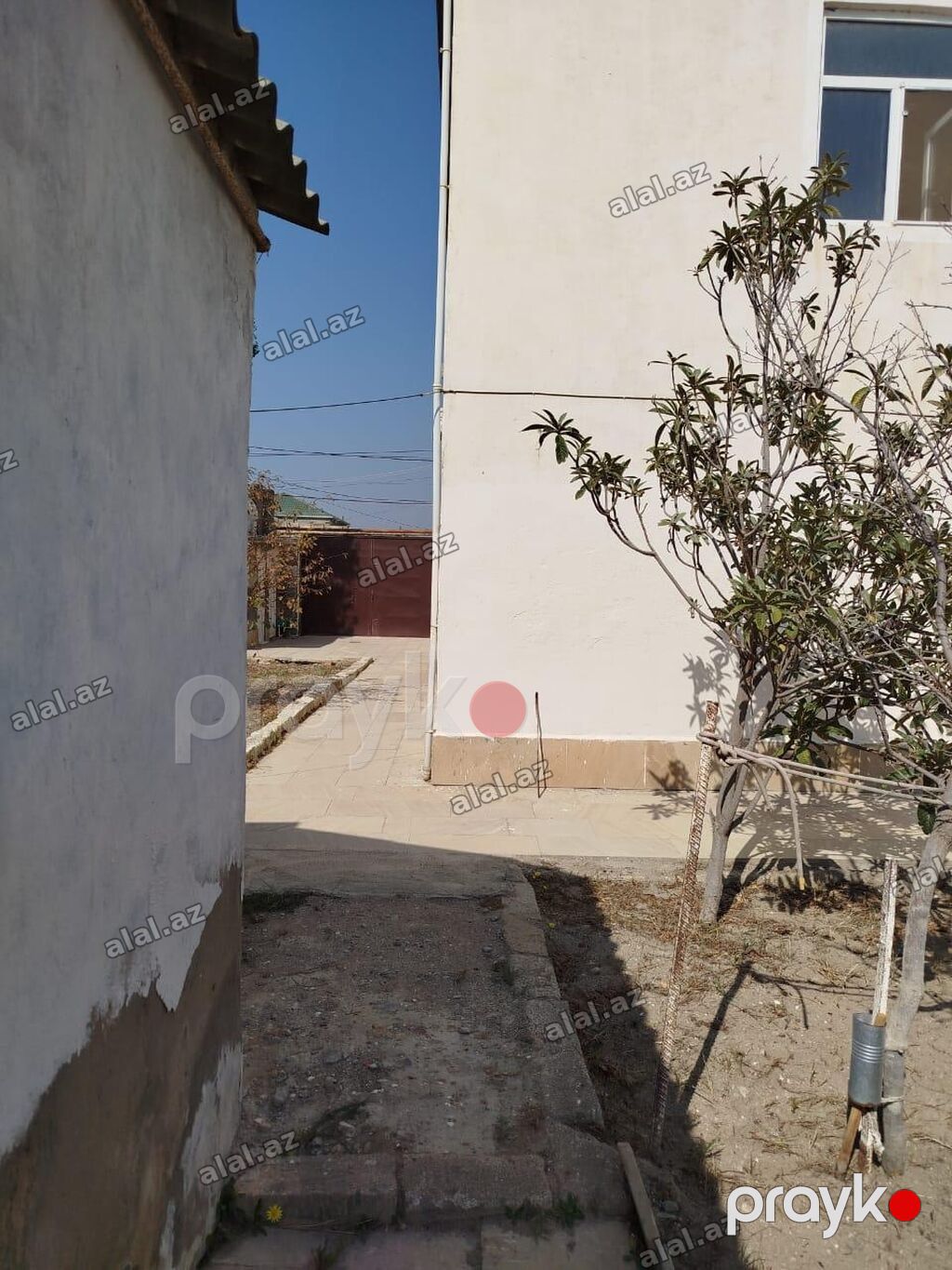 Suraxanı 6 otaqlı, 350 kv. m — Ev, villa, Bakı (4)