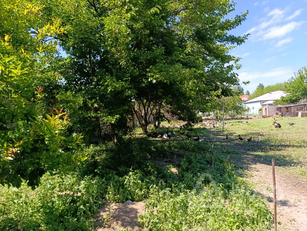 Torpaq sahəsi, 20 sot, Abseron r-n Novxani qes — Torpaq, Bakı (4)