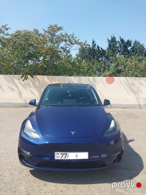 Tesla Model Y, 2022 il, 62 000 km