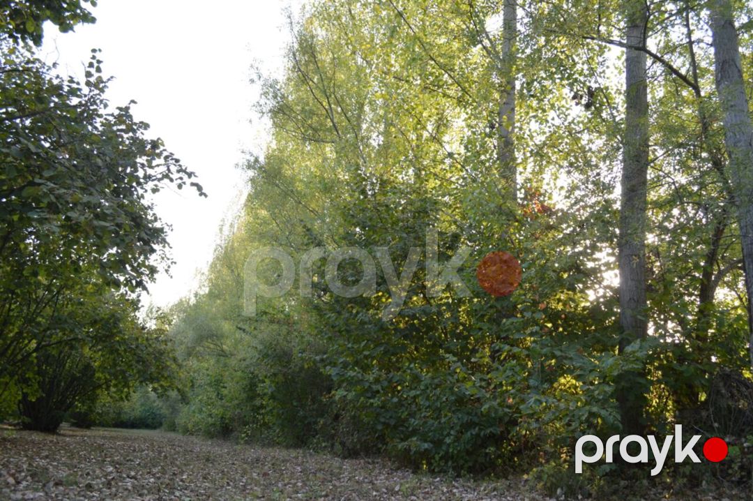 Satılır torpaq 55 sot — Torpaq, Oğuz (9)