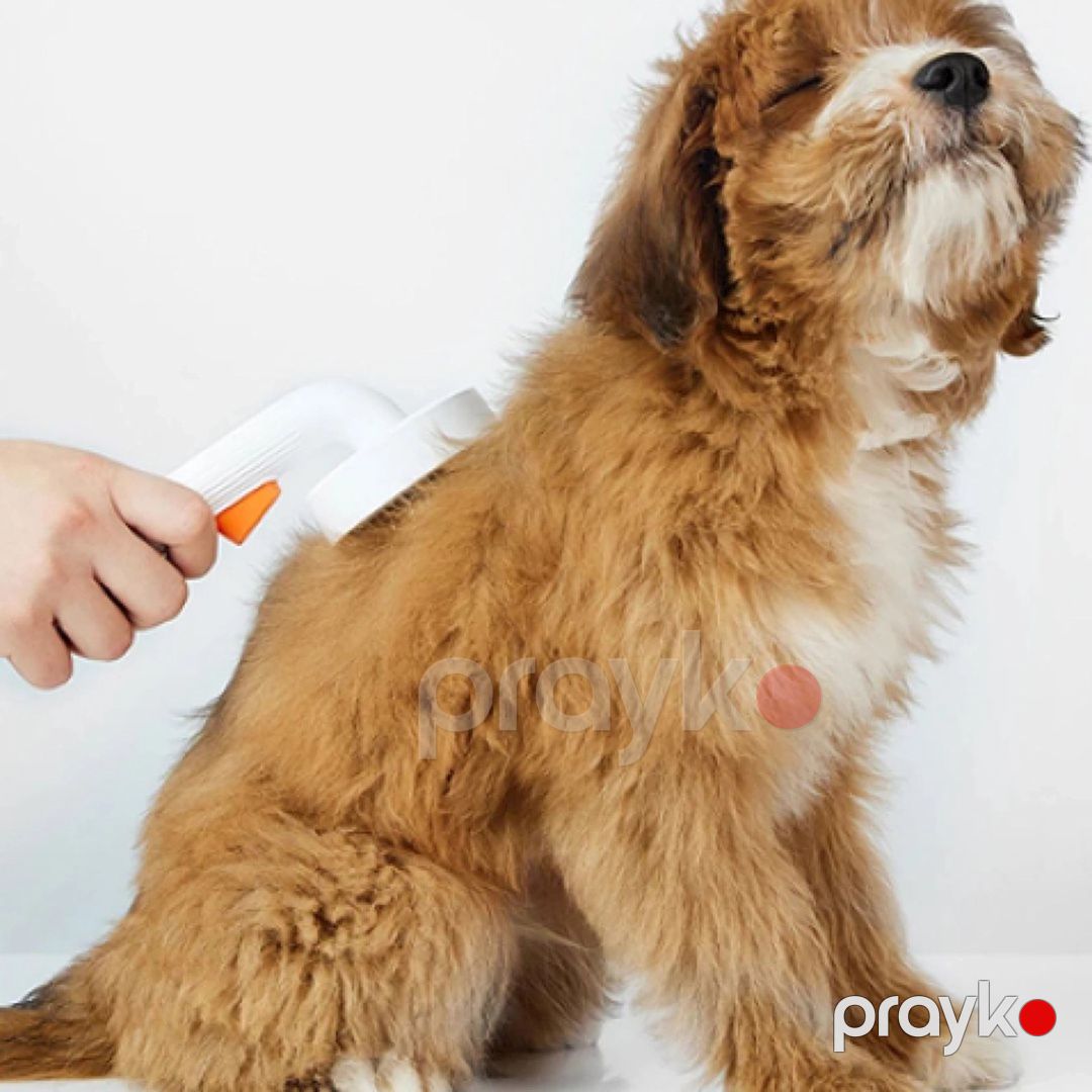 Tiftik darağı Petkit Pet Grooming Brush 2 — Mallar, Bakı (3)