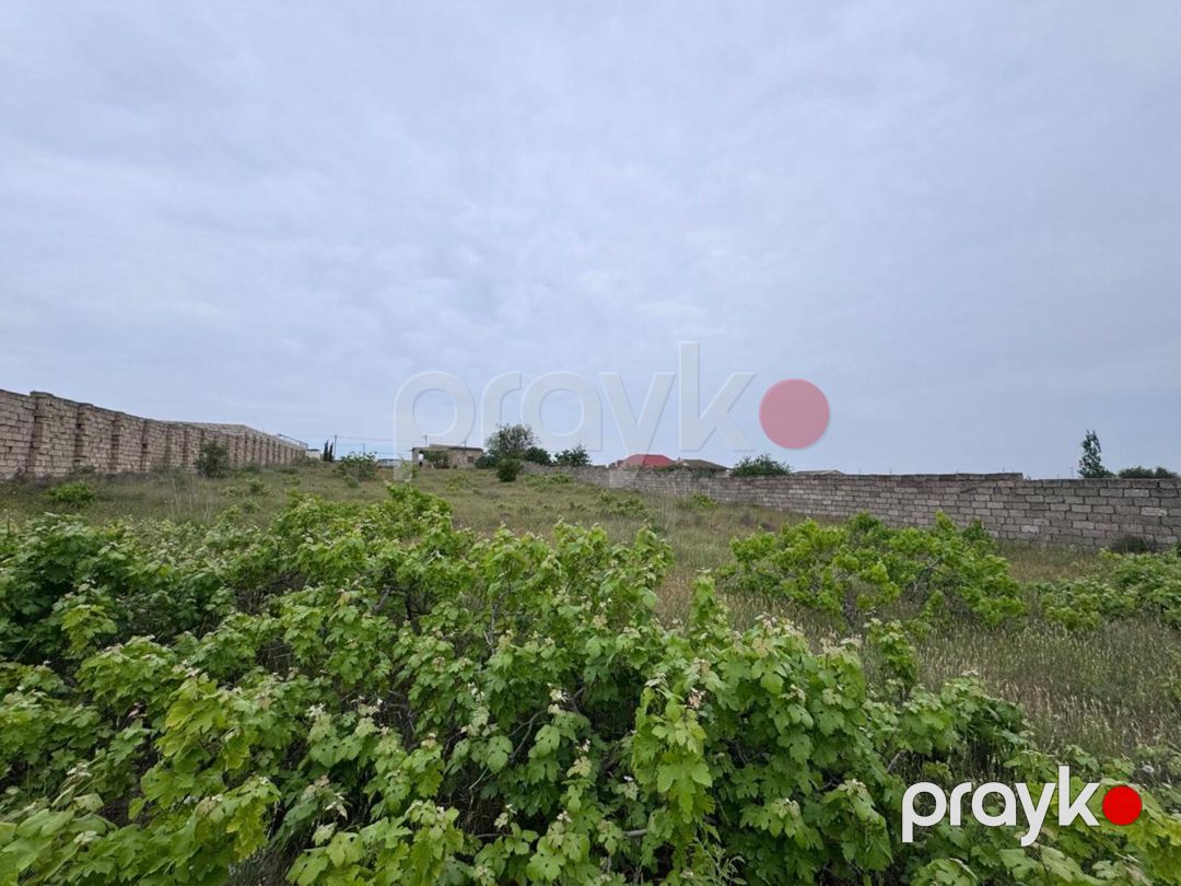 Satılır torpaq 24 sot — Torpaq, Bakı (9)