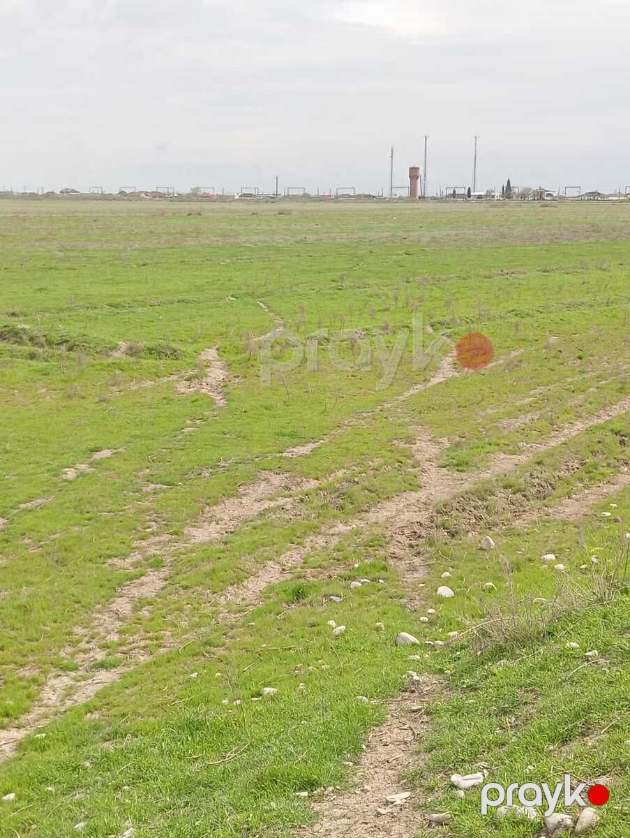 Satılır torpaq 1428 sot — Torpaq, Hacıqabul (3)