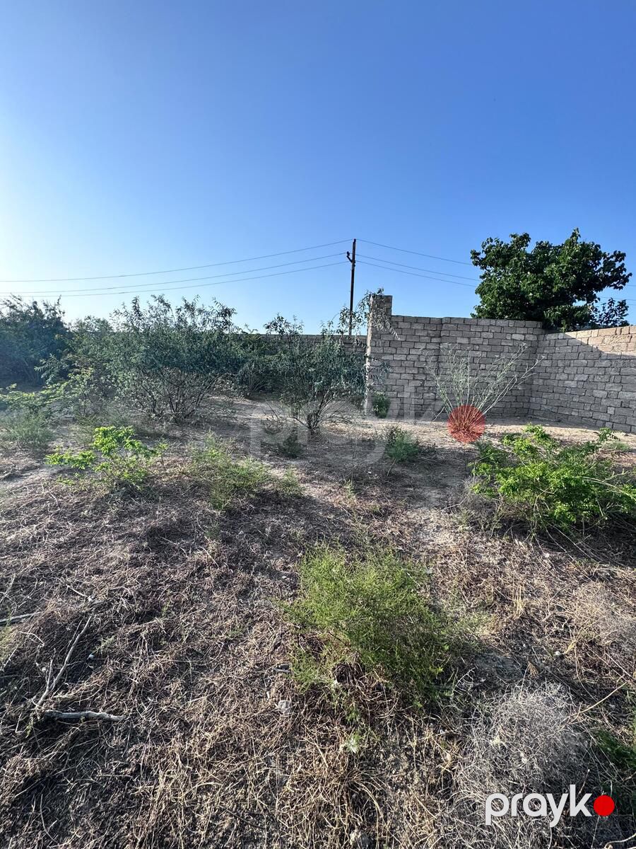 11 sot torpaq sahəsi, Zirə qəs — Torpaq, Bakı (3)