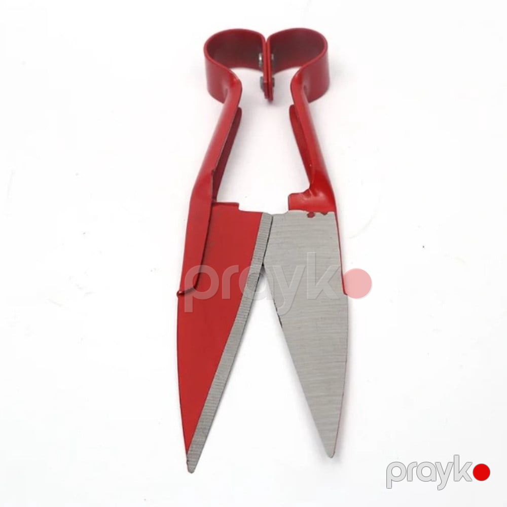 Qoyun qırxan qayçı, qırmızı tutacaq ilə prm_019 — Mallar, Bakı (2)