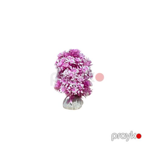 Dekorasiya akvarium üçün 11044_6369 — Bakı