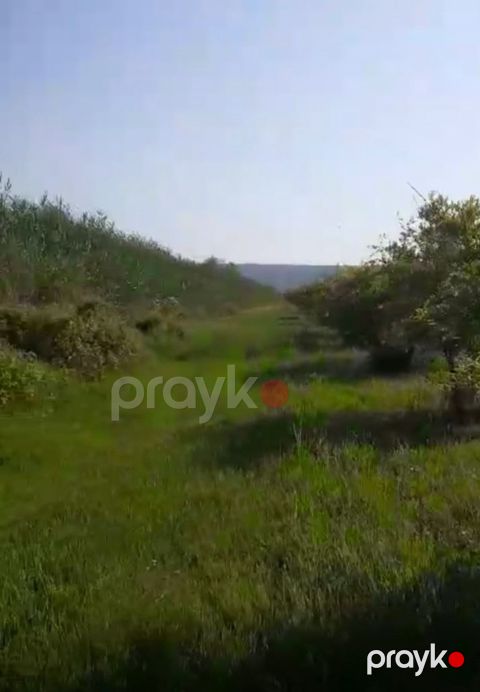 Satılır torpaq 3762.2 sot — Göyçay