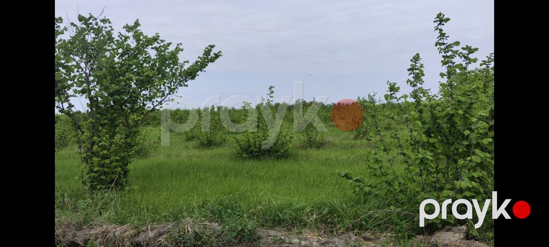 153 sot torpaq sahəsi, Xaçmaz r — Torpaq, Xaçmaz (6)