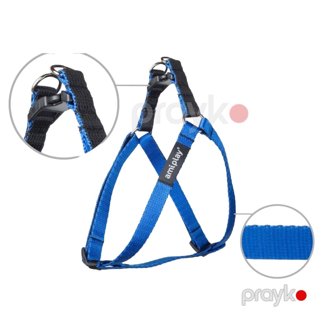 İtlər üçün qayış Amiplay Twist, ölçü S, 20-35x1 sm, polipropilen, göy — Mallar, Bakı (2)