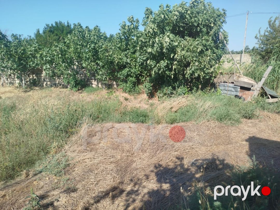 7 sot torpaq sahəsi, Məştağa qəs — Torpaq, Bakı (8)