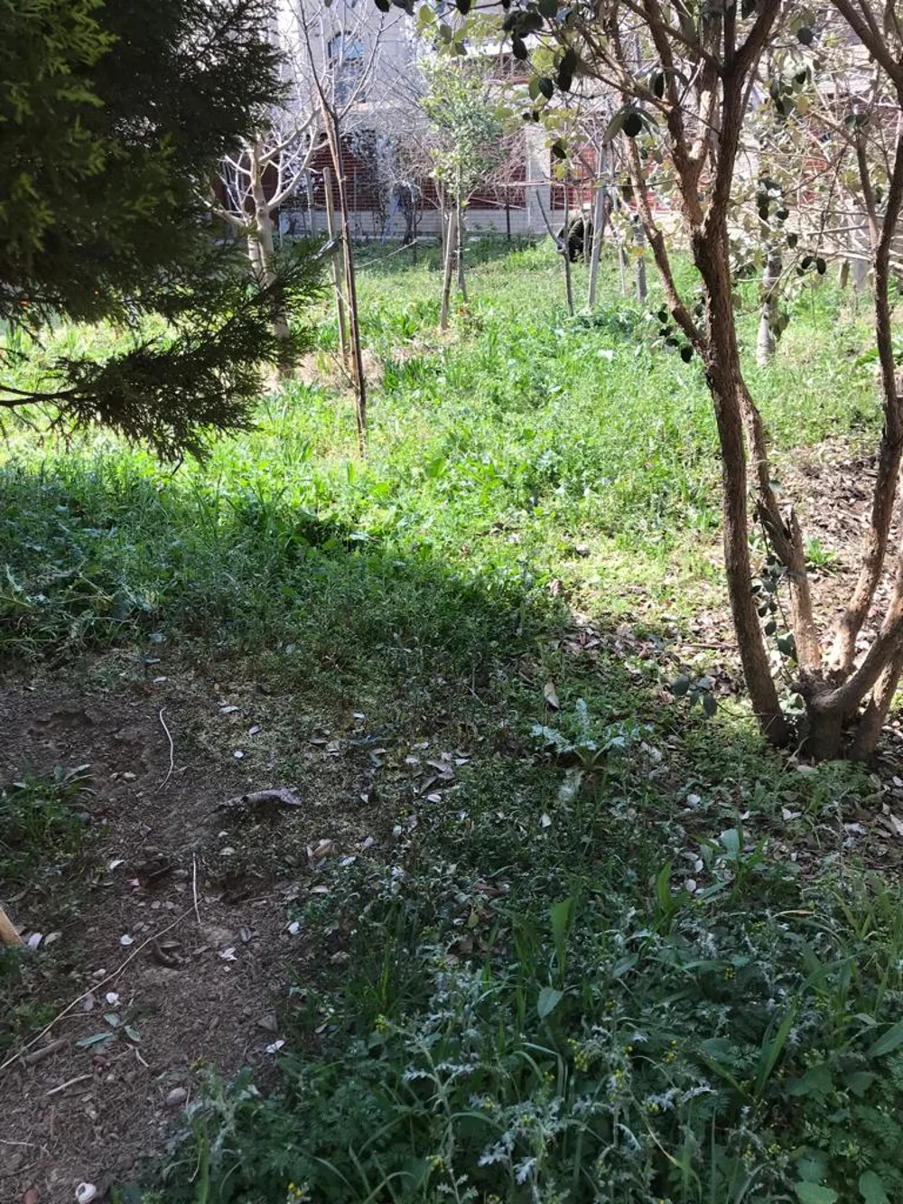 6 otaqlı həyət evi, 300 m², Masazır qəsəbəsi Yeni Bakı Yaşayış kompleksinin arxasında — Ev, villa, Bakı (9)