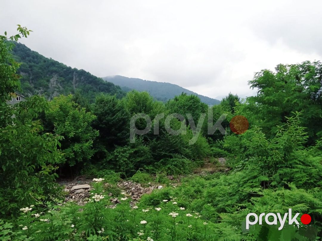 Həyət evi kirayə verilir, İsmayıllı r — Ev, villa, İsmayıllı (11)