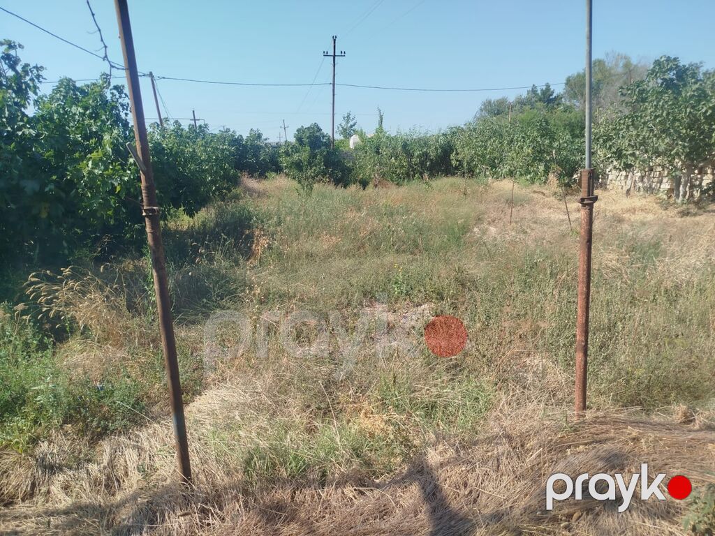 8 sot, Biznes üçün, Mülkiyyətçi, Bələdiyyə, Müqavilə — Torpaq, Bakı (8)