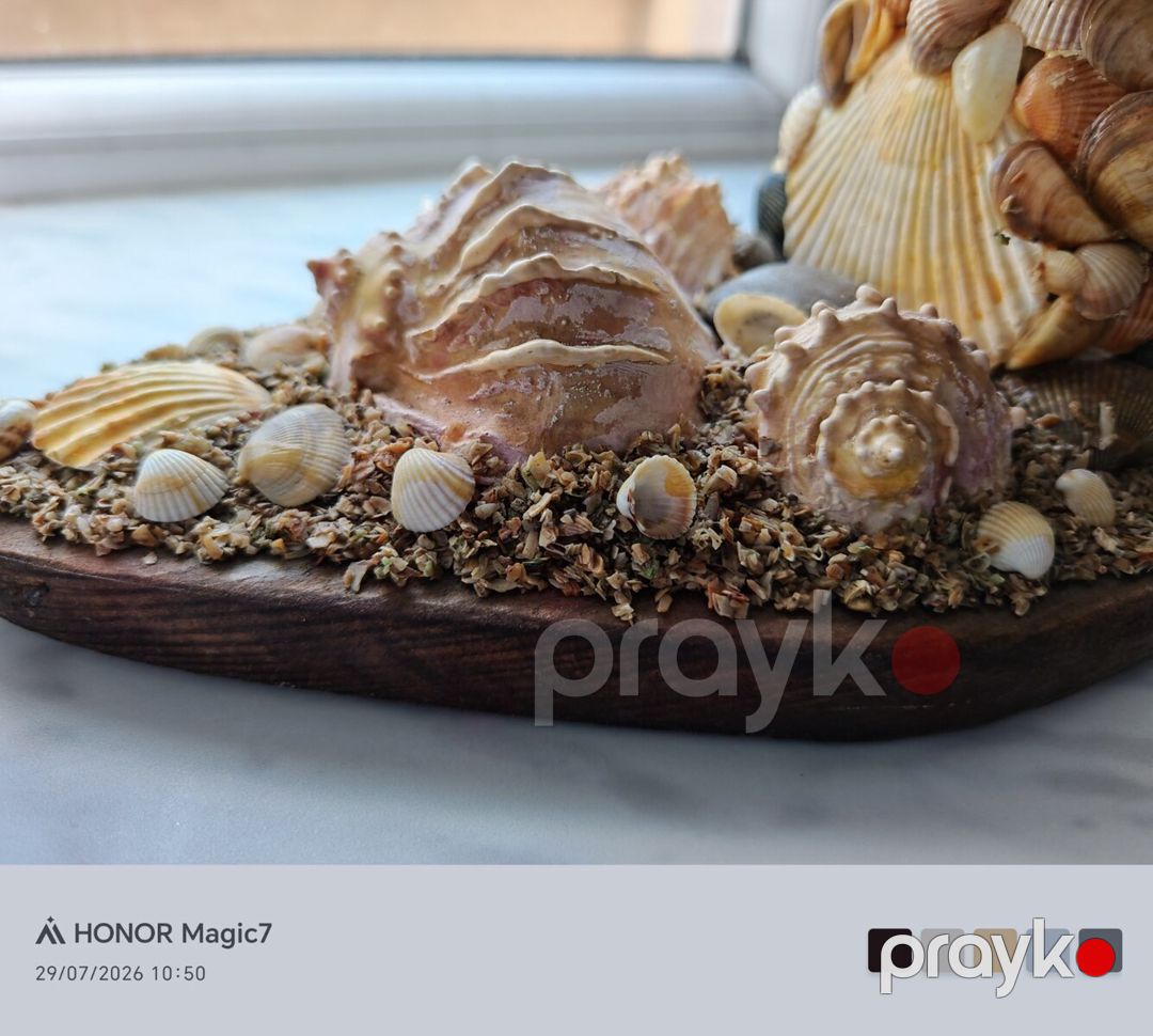 Suvenir nərə balığı — Kolleksiyalar, Quba (3)