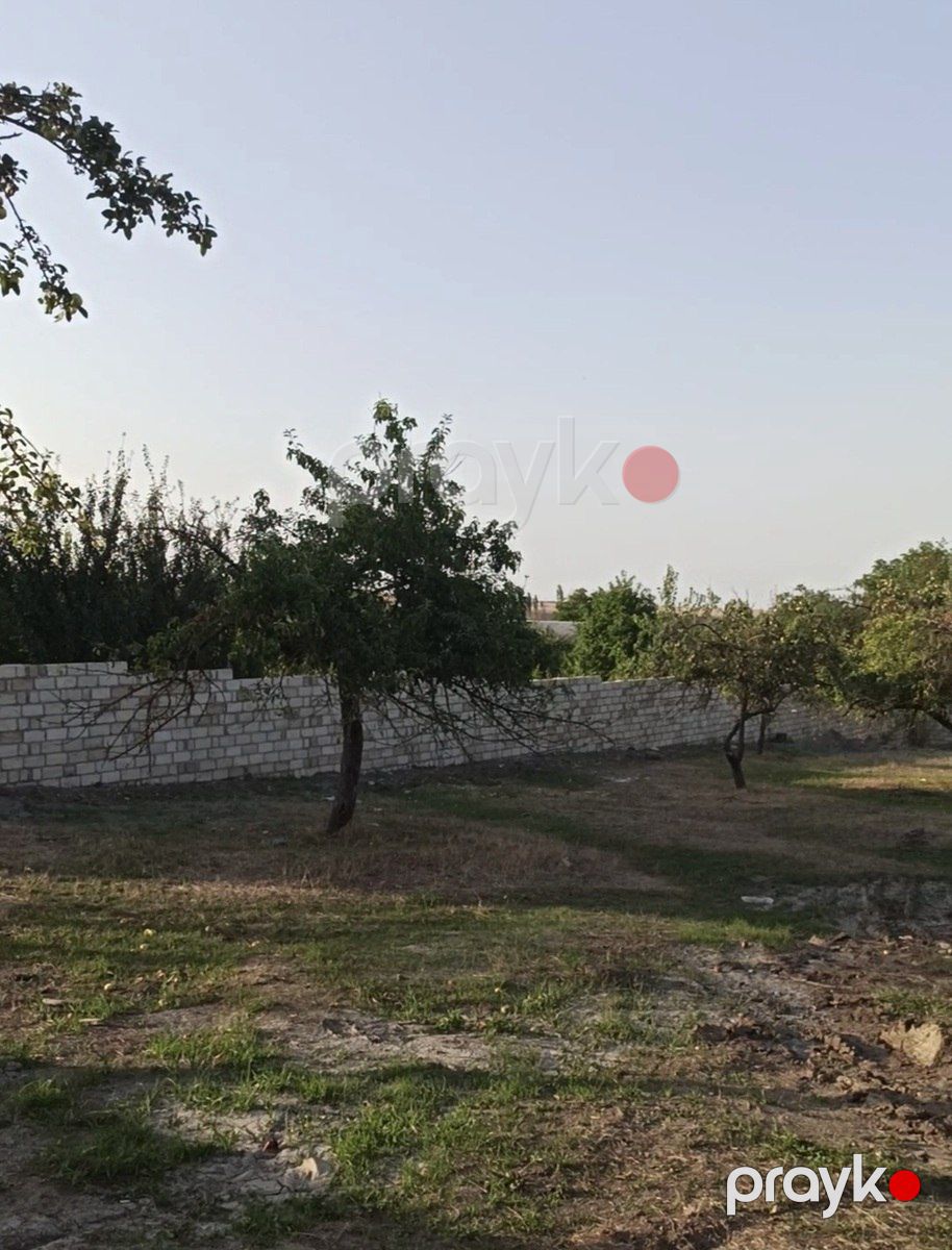 Satılır torpaq 20 sot — Torpaq, Quba (2)