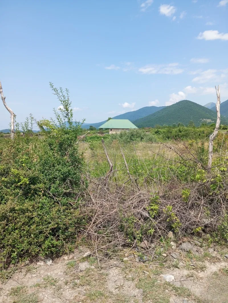 Satılır Torpaq 18 sot Şəki — Torpaq, Şəki (5)