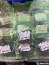 Cobalt, gentra, ravon R3 1.5 sep orijinal — Megauto — Запчасти и аксессуары — Запчасти