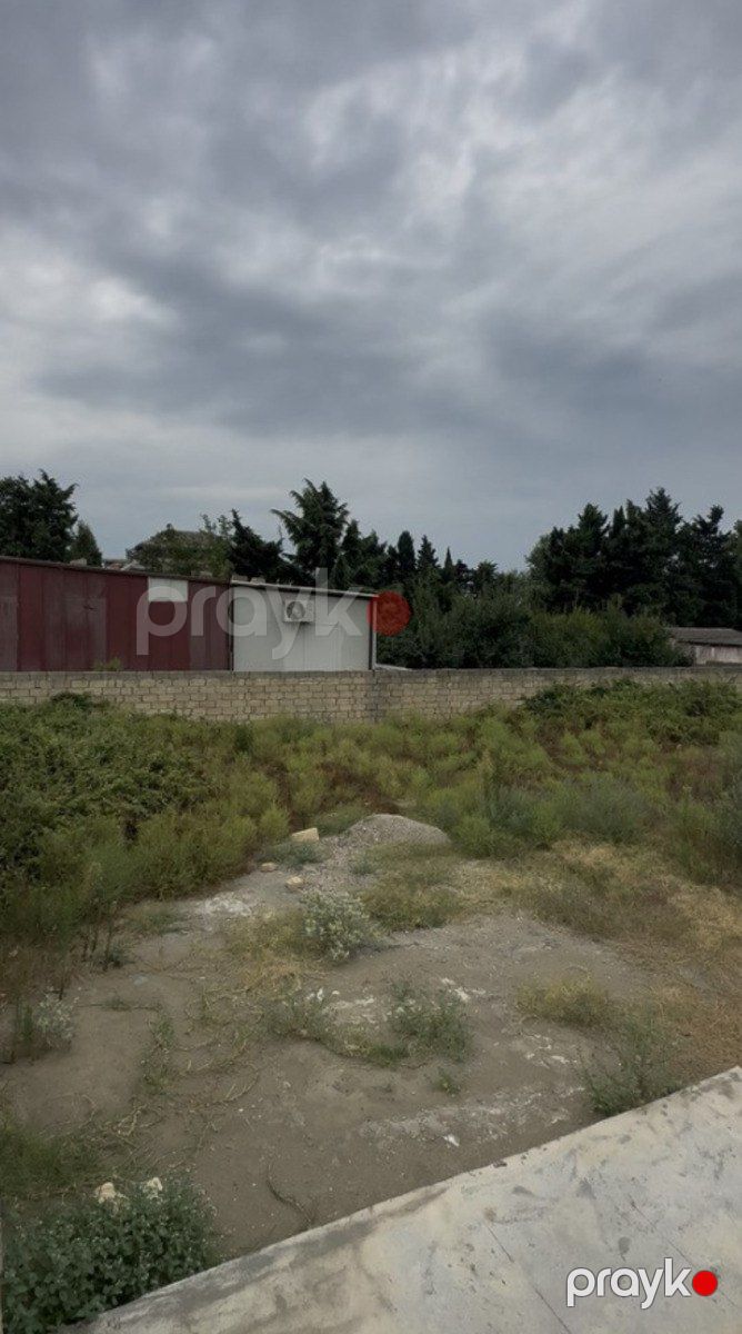 Satılır torpaq 600 sot — Torpaq, Xaçmaz (4)