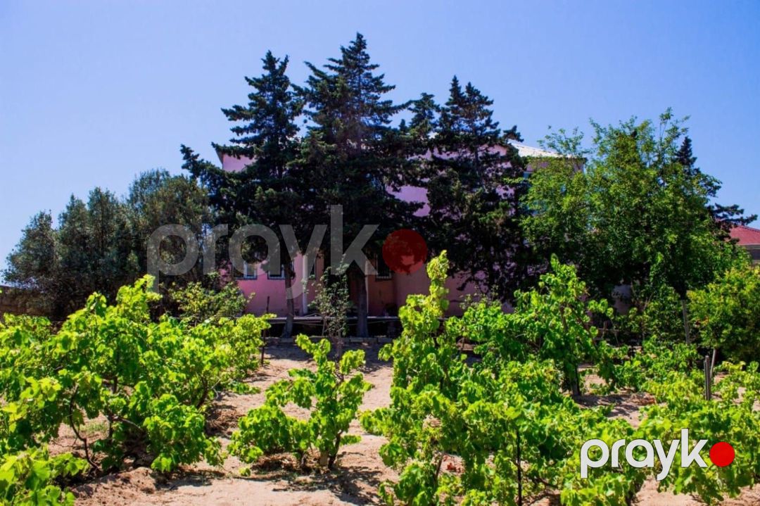 İcarəyə verilir 5 otaqlı həyət evi/bağ evi 210 m² — Ev, villa, Bakı (2)