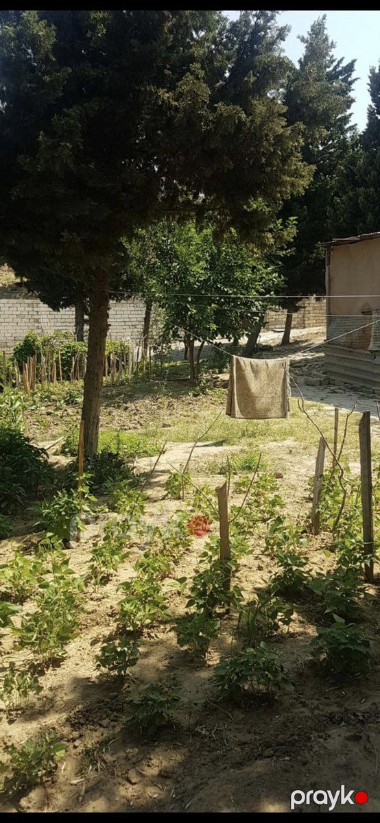 9 sot torpaq sahəsi, Avtovağzal m — Torpaq, Bakı (11)
